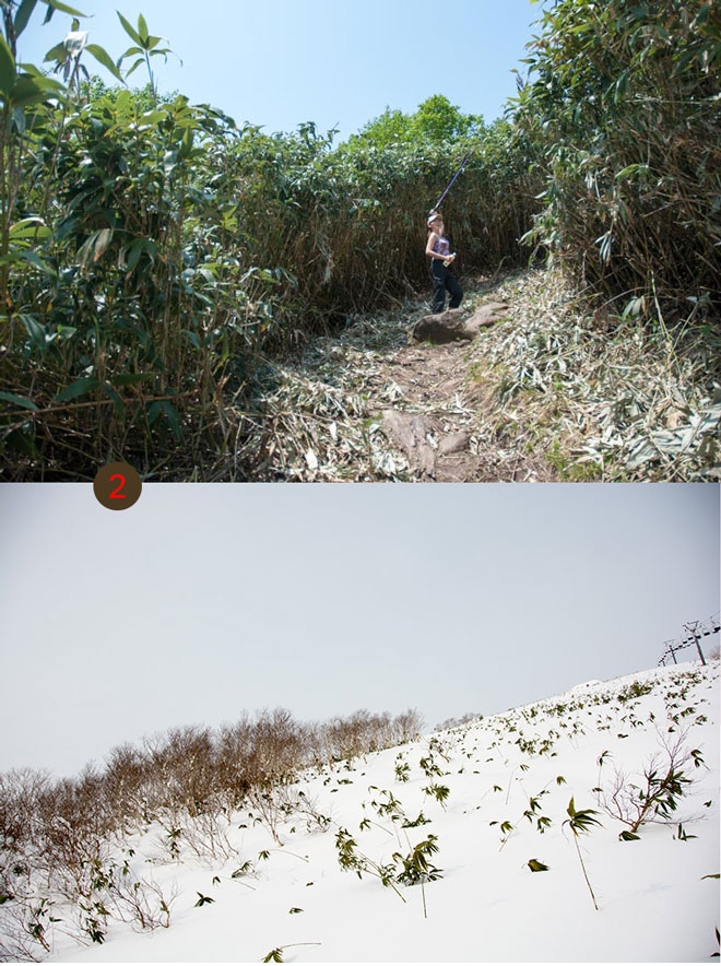 winter and summer comparison of Annuprui mountain  path
