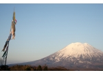 yotei in niseko with koinobori flying in the wind