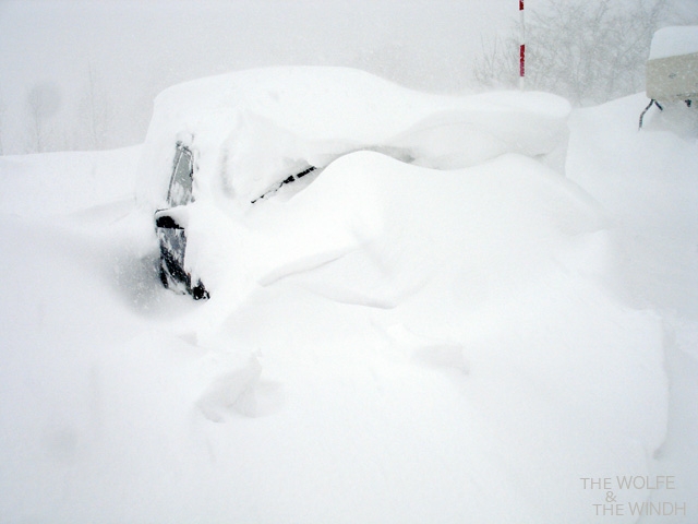 Found my car annupuri snow