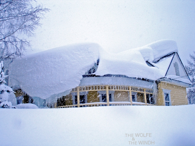 australia house niseko hirafu The icing on the cake?
