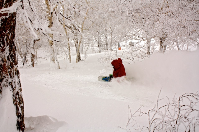 Asari Chair kiroro ski resort in the trees