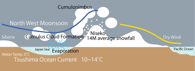 Niseko Snowfall - Why does Niseko get so much snow?