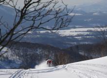 Snowmobiling in Niseko