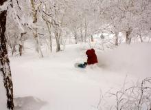 Kiroro Snow World