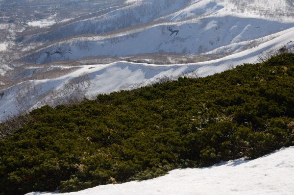 Looking at the all but familiar but unfamiliar cornices in first bowl niseko backbowl cornice in spring