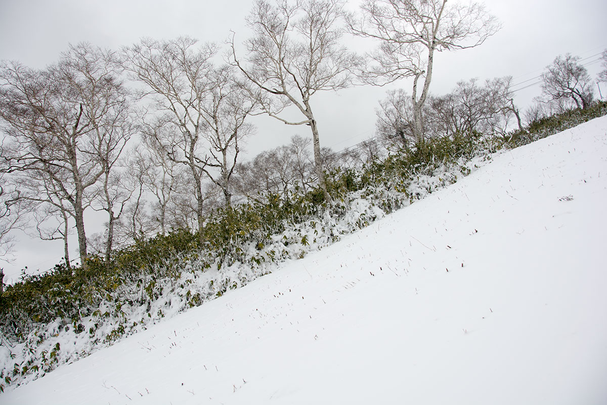 early winter season niseko annupuri 