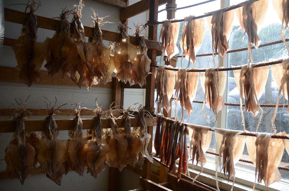 dried squid