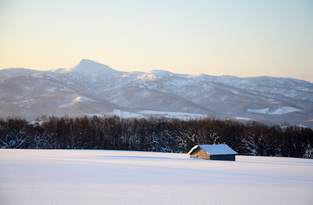  konbu yama[Mt.] in niseko