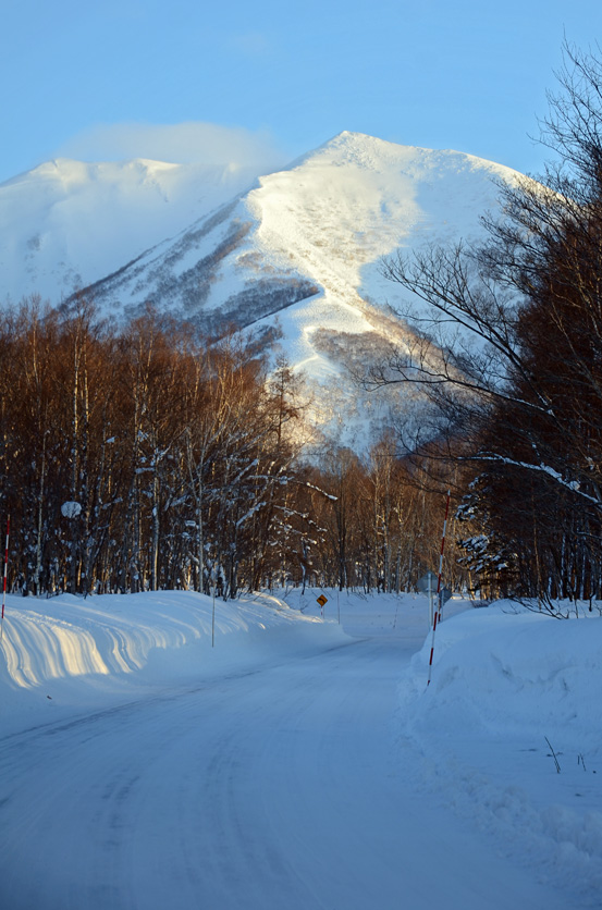 niseko annupuri backbowls 