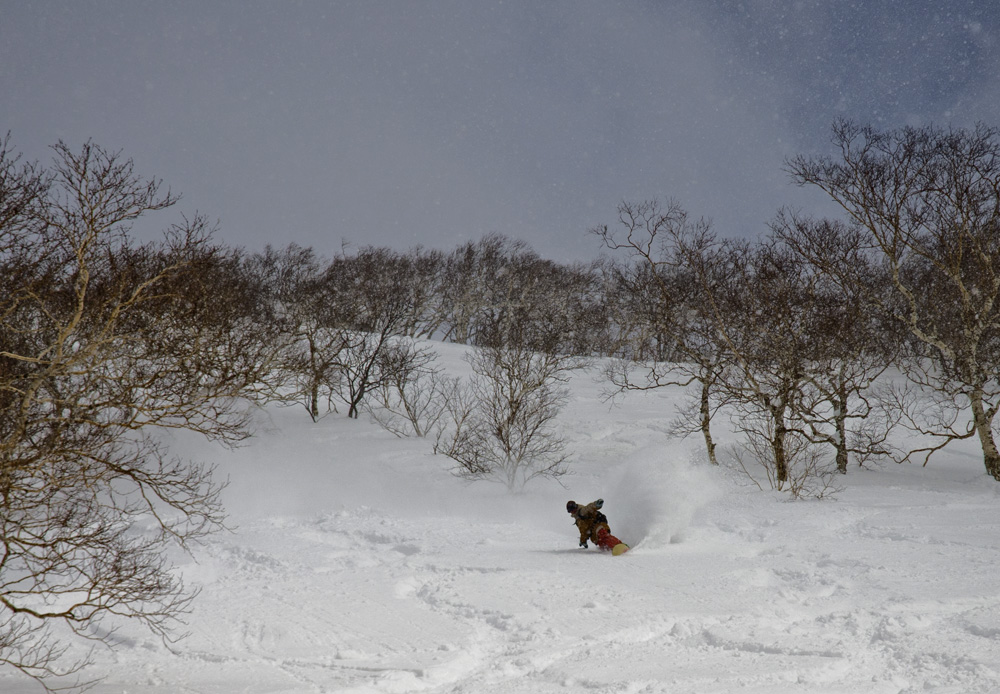 annupuri backbowls powder snow