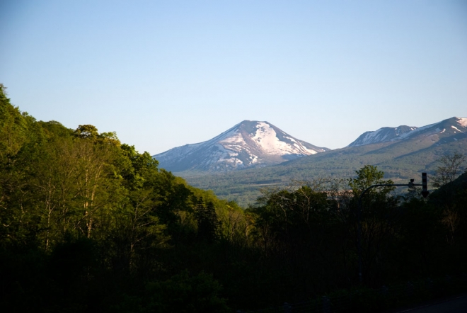 annupuri from kyowa