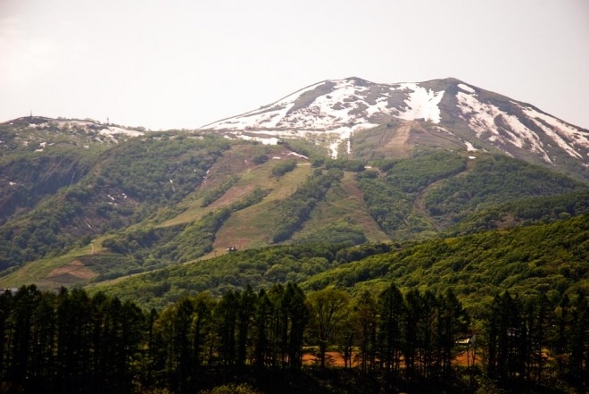  niskeo hirafu spring