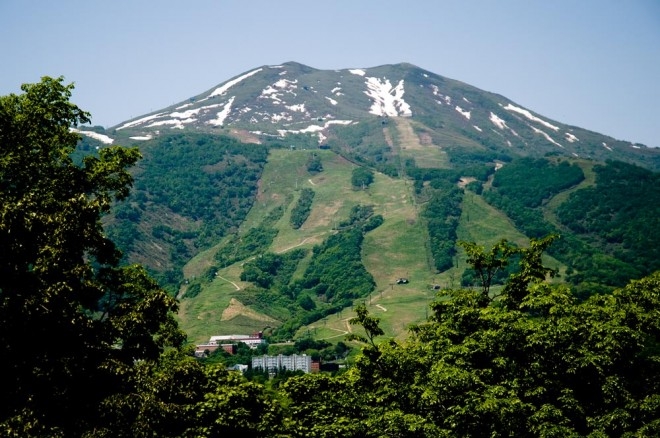 hirafu from greenfarm