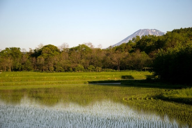 Yotei and Rice 31 May 2010