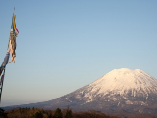 yotei in niseko with koinobori flying in the wind