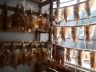 dried squid