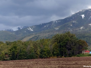Niseko Annupuri Peak