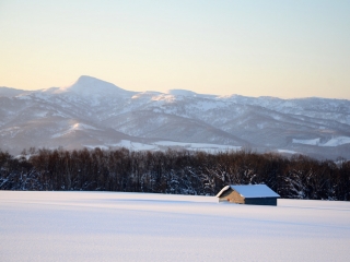  konbu yama[Mt.] in niseko