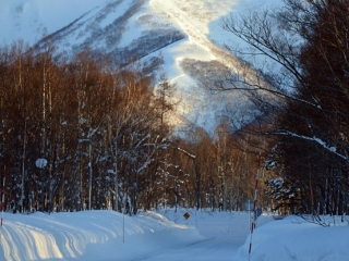 niseko annupuri backbowls 