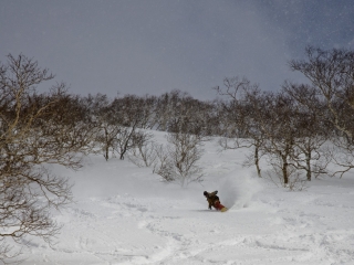 annupuri backbowls powder snow
