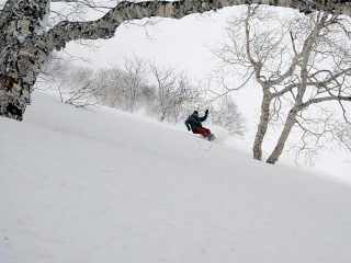 snowboarding niseko annupuri backbowls gate 2