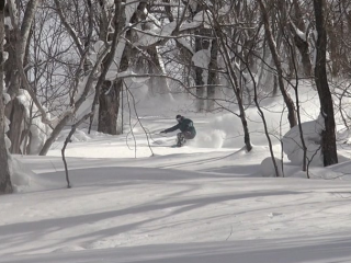 kouji hamada increw vimeo snowboarding in the trees