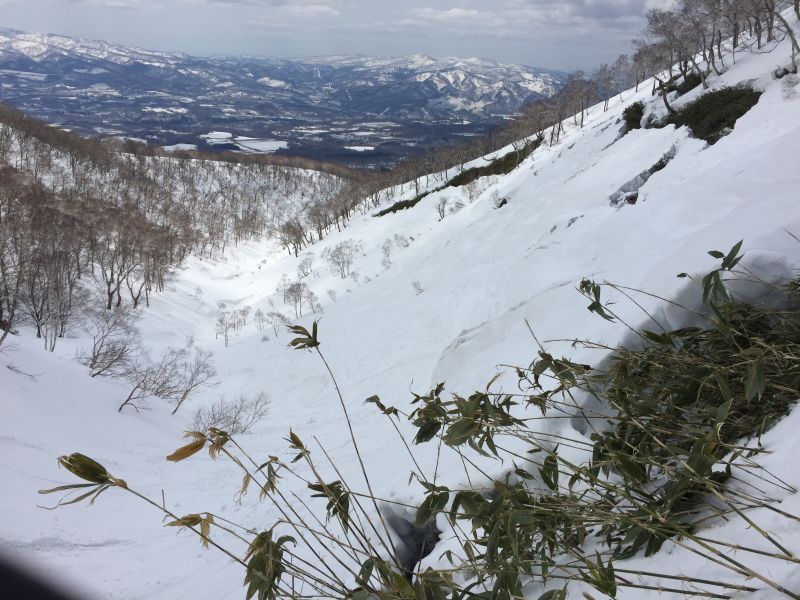 looking down the backbowl with sasa bamboo exposed through big cracks