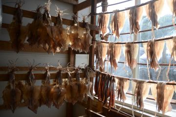 dried squid