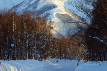 niseko annupuri backbowls 