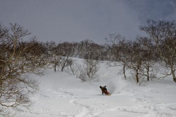 annupuri backbowls powder snow