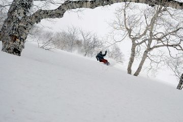 snowboarding niseko annupuri backbowls gate 2