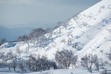 skiing nitonupuri