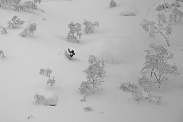 Michael enjoying powder surfing surfer style in goshiki onsen area