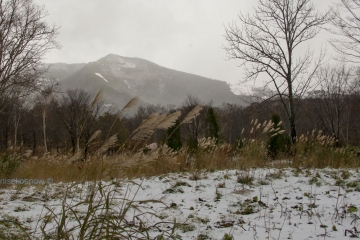settled snow in niseko annupuri 25 october 2015