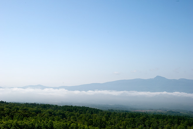 konbuyama in spring