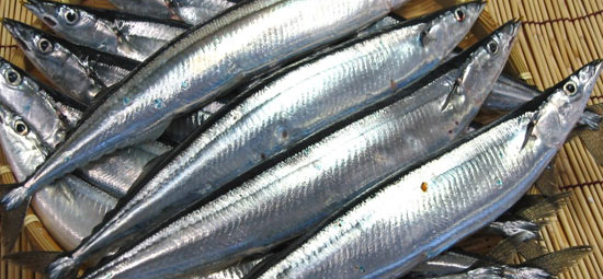 sanma