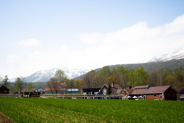 Sasson Club in Niseko