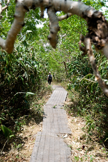 shizen numa walking trail